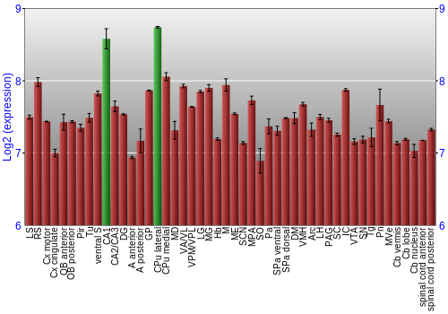 Multi-state expression graph
