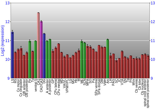 Multi-state expression graph