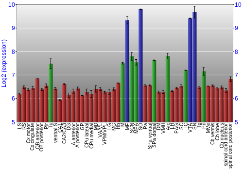 Multi-state expression graph