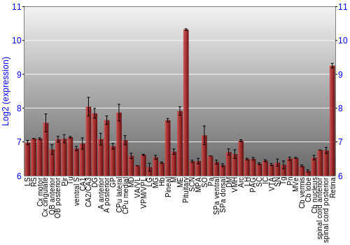 Expression graph