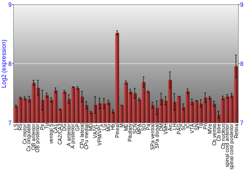 Expression graph