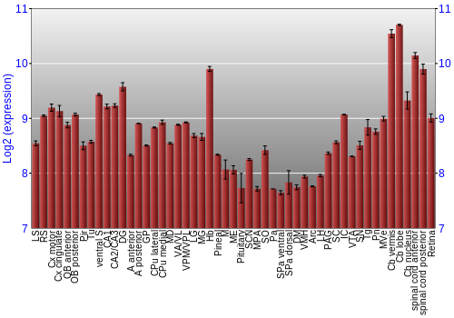 Expression graph