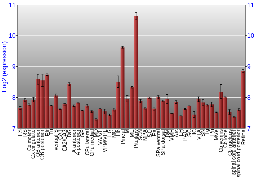 Expression graph