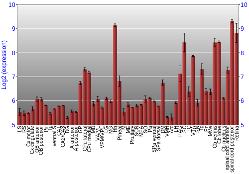 Expression graph