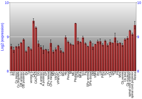 Expression graph