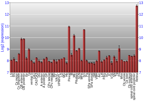 Expression graph