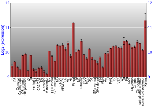 Expression graph