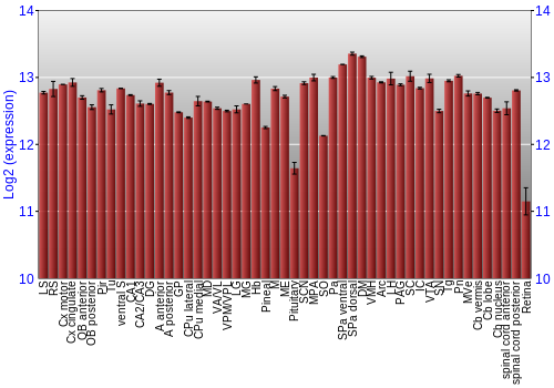Expression graph