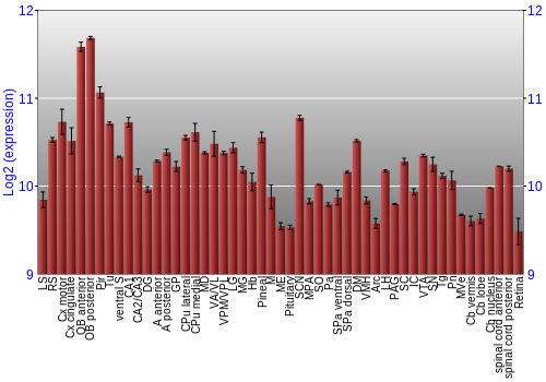 Expression graph