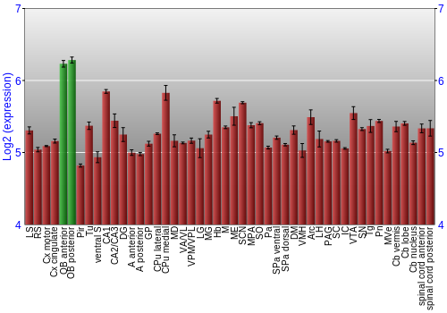 Multi-state expression graph