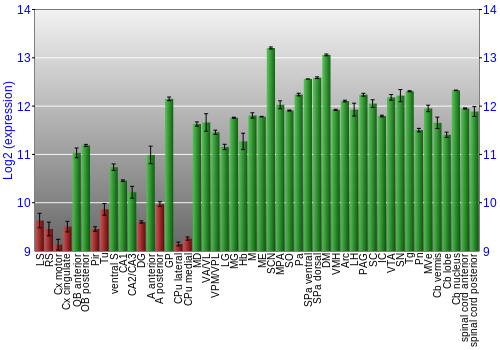 Multi-state expression graph