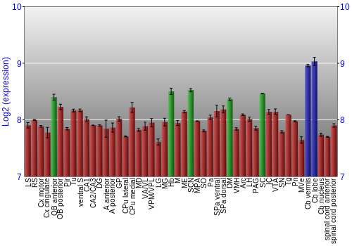 Multi-state expression graph