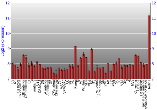 Expression graph
