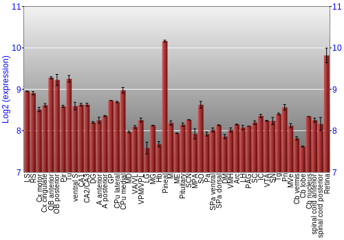 Expression graph
