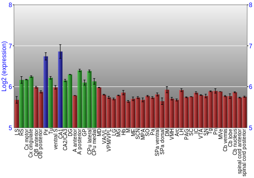 Multi-state expression graph