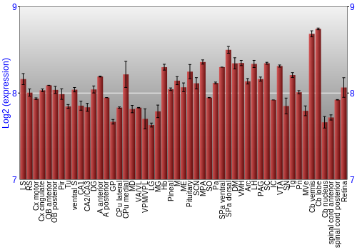 Expression graph