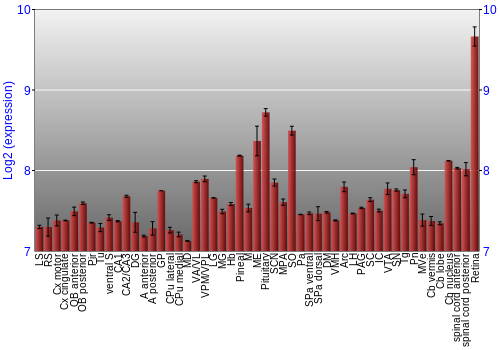 Expression graph