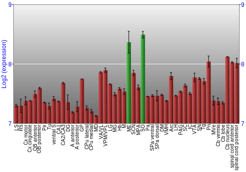 Multi-state expression graph