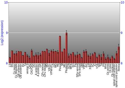 Expression graph