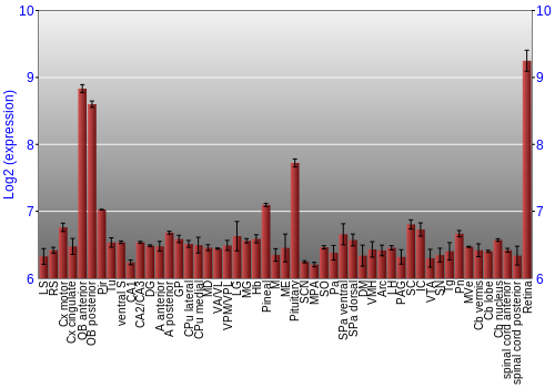 Expression graph