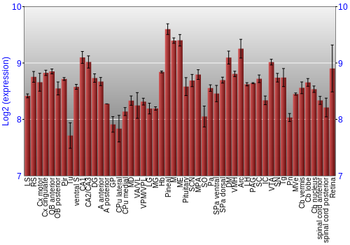 Expression graph