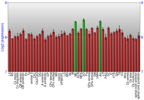 Multi-state expression graph