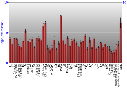 Expression graph