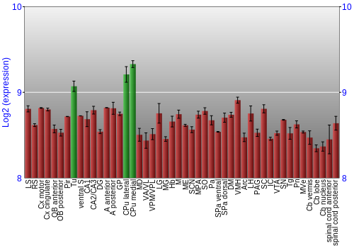 Multi-state expression graph