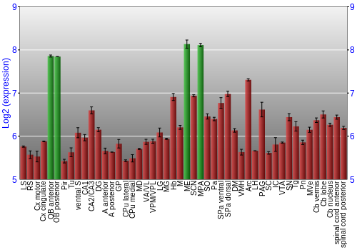 Multi-state expression graph