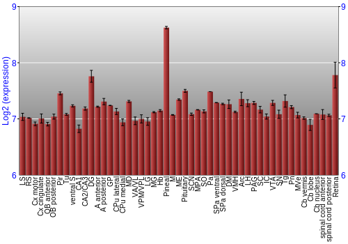 Expression graph