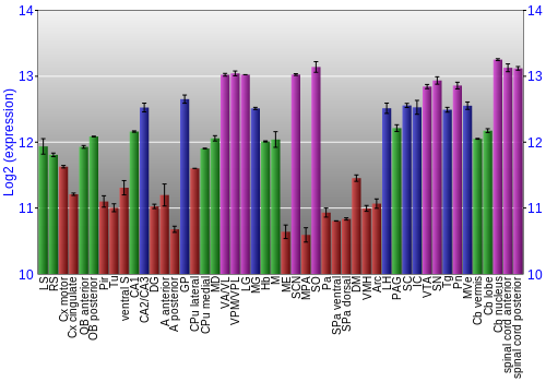Multi-state expression graph
