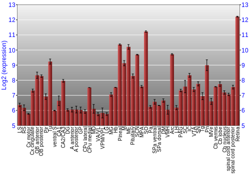 Expression graph