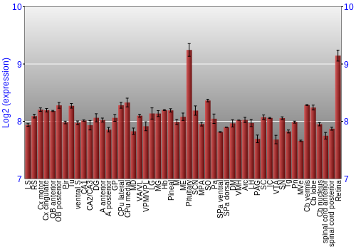 Expression graph