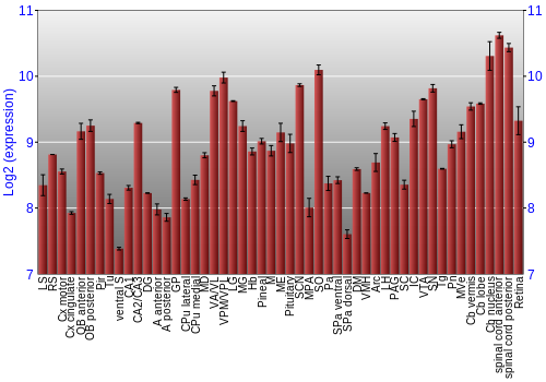 Expression graph