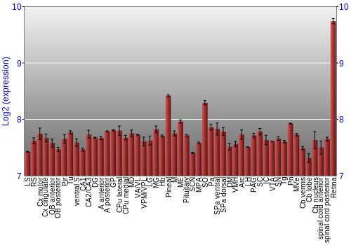 Expression graph