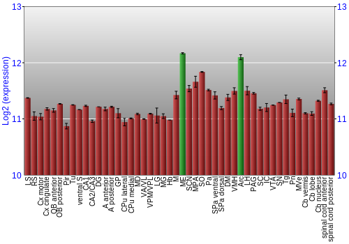 Multi-state expression graph