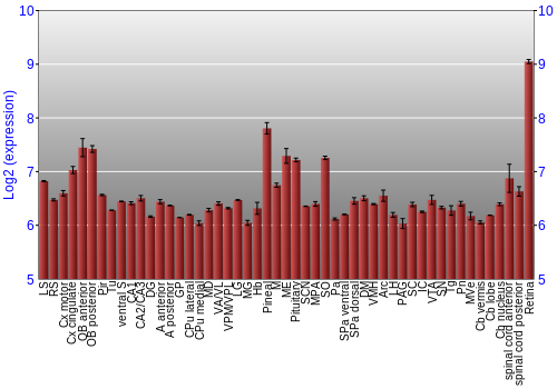 Expression graph