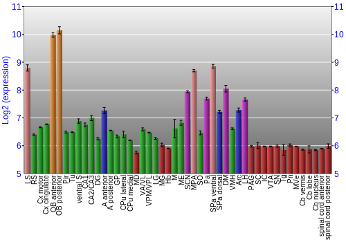 Multi-state expression graph