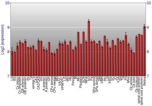 Expression graph