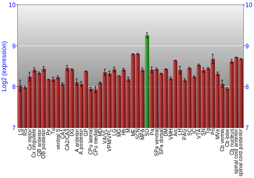 Multi-state expression graph