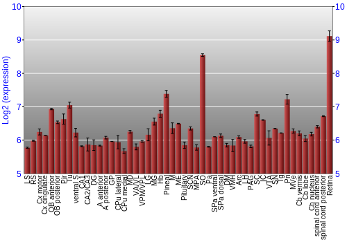 Expression graph