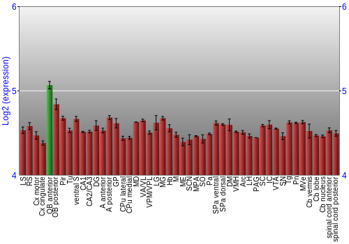 Multi-state expression graph