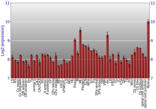 Expression graph