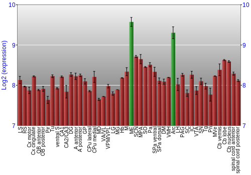 Multi-state expression graph
