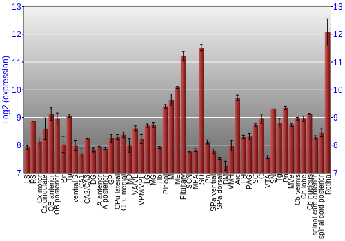 Expression graph