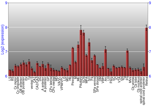 Expression graph