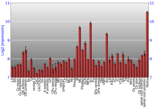 Expression graph