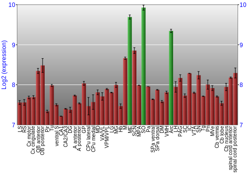 Multi-state expression graph