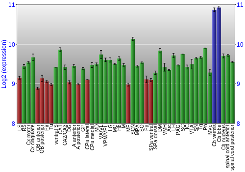 Multi-state expression graph