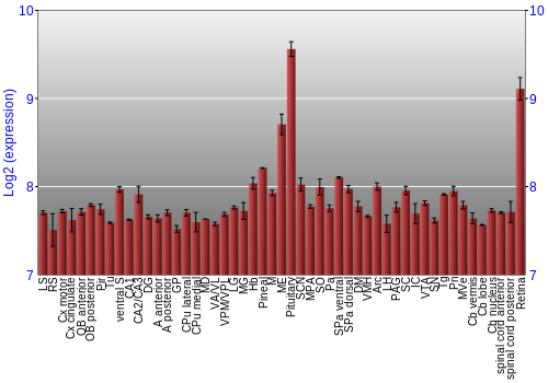 Expression graph